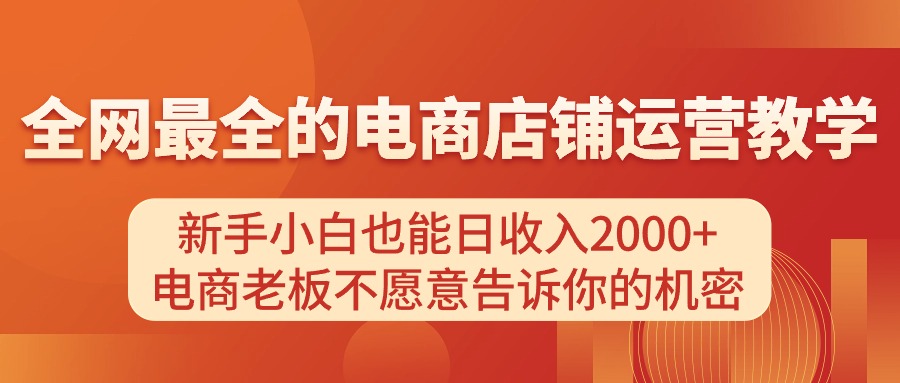 （11266期）电商店铺运营教学，新手小白也能日收入2000+，电商老板不愿意告诉你的机密-钞能力网全创