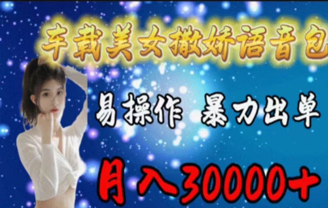 （11249期）车载美女撒娇语音包，执行就出单，月入3000＋，小白看完课程就能马上实操-钞能力网全创