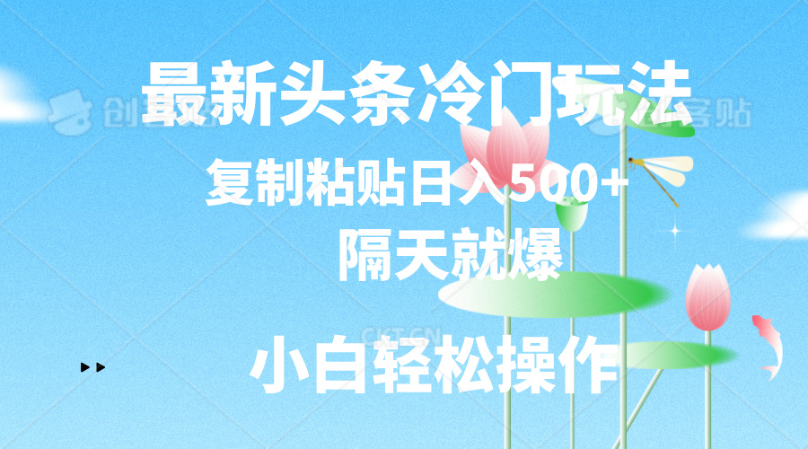 最新头条冷门玩法，隔天就爆，复制粘贴日入500+-钞能力网全创