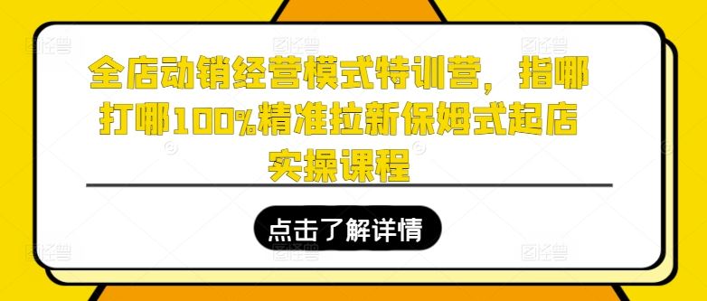 全店动销经营模式特训营，指哪打哪100%精准拉新保姆式起店实操课程-钞能力网全创