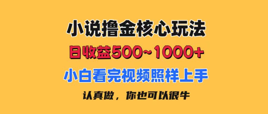 （11461期）小说撸金核心玩法，日收益500-1000+，小白看完照样上手，0成本有手就行-钞能力网全创