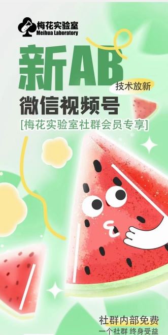 梅花实验室AB技术视频号AB合成破解版-钞能力网全创