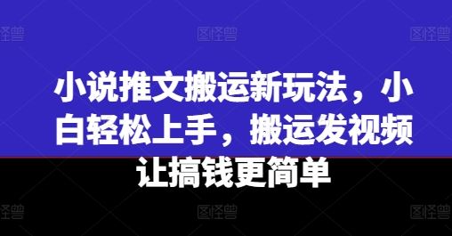 小说推文搬运新玩法，小白轻松上手，搬运发视频让搞钱更简单-钞能力网全创