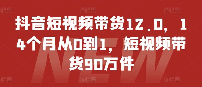 抖音短视频带货12.0，14个月从0到1，短视频带货90万件-钞能力网全创