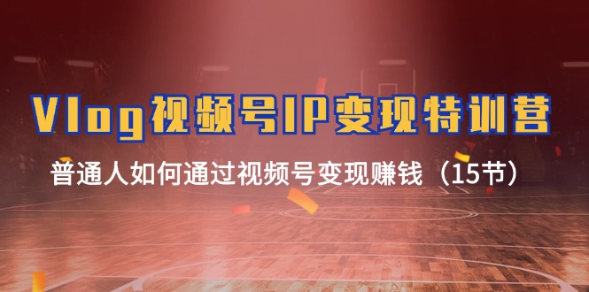 Vlog视频号IP变现特训营，普通人如何通过视频号变现赚钱（15节）-钞能力网全创