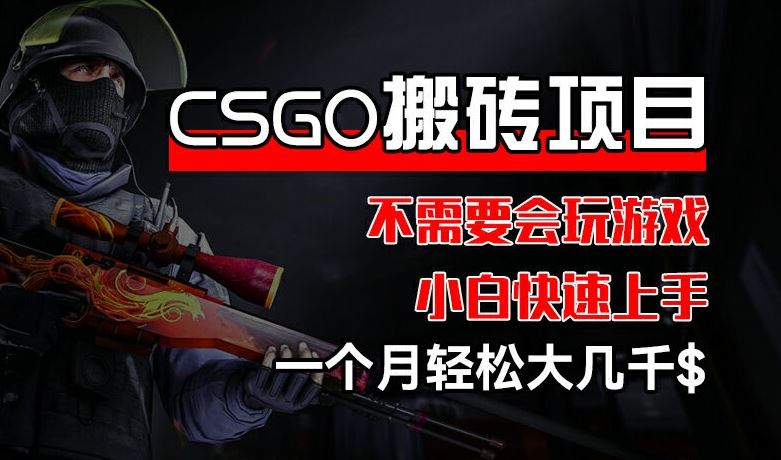 CSGO 装备搬砖项目，操作简单，不需要会玩游戏，小白也能快速上手，一个月轻松大几千【揭秘】-钞能力网全创