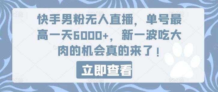 快手男粉无人直播，单号最高一天6000+，新一波吃大肉的机会真的来了-钞能力网全创