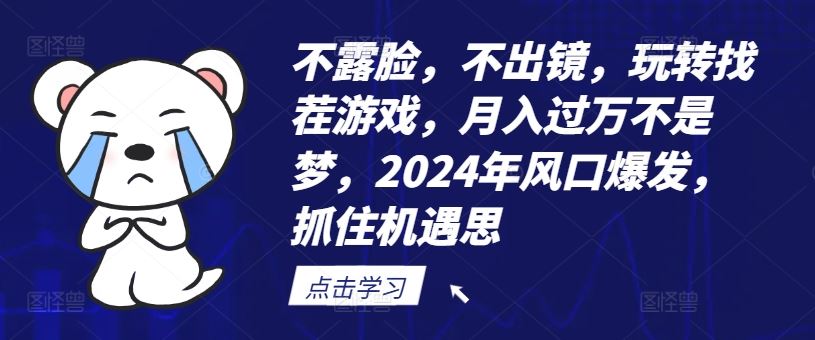 不露脸，不出镜，玩转找茬游戏，月入过万不是梦，2024年风口爆发，抓住机遇【揭秘】-钞能力网全创