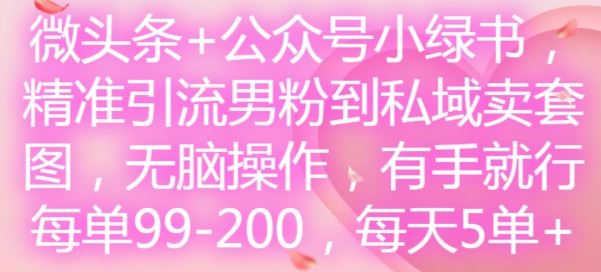 微头条+公众号小绿书，精准引流男粉到私域卖套图，无脑操作，有手就行，每单99-200，每天5单-钞能力网全创