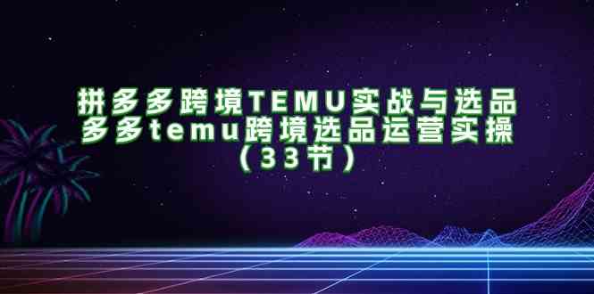 拼多多跨境TEMU实战与选品，多多temu跨境选品运营实操（33节）-钞能力网全创