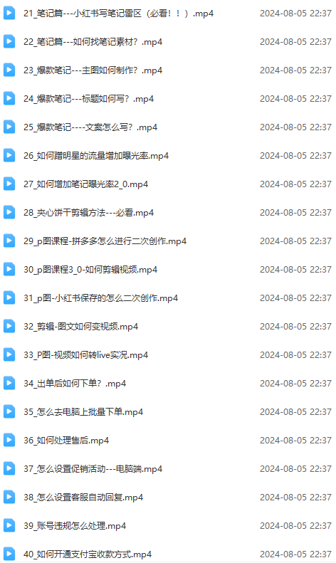 图片[3]-小红书电商实战课：全体系打造 全方位梳理 小红书电商逻辑体系 (42节)-钞能力网全创