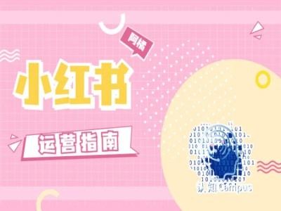 小红书运营指南，没有套路，全是经验-钞能力网全创