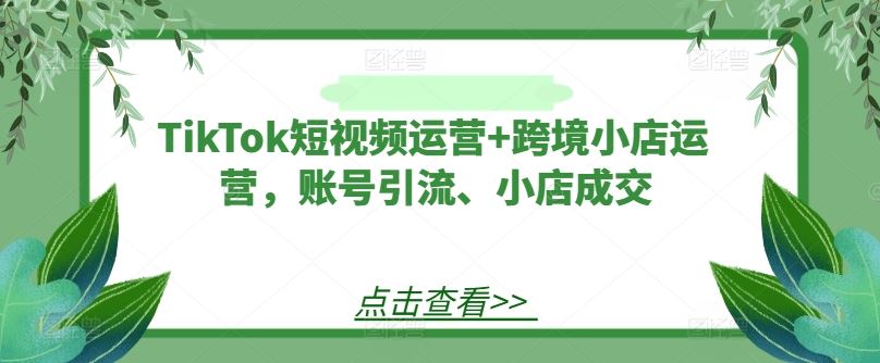 TikTok短视频运营+跨境小店运营，账号引流、小店成交-钞能力网全创