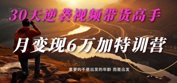 30天逆袭视频带货高手，单月变现6万加特训营-麦子甜-钞能力网全创