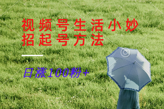 视频号生活小妙招分享赛道， 起号涨粉新方法，日涨100粉-钞能力网全创