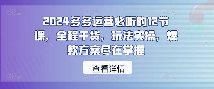 2024多多运营必听的12节课，全程干货，玩法实操，爆款方案尽在掌握-钞能力网全创