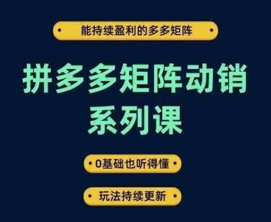 拼多多矩阵动销系列课，能持续盈利的多多矩阵，0基础也听得懂，玩法持续更新-钞能力网全创