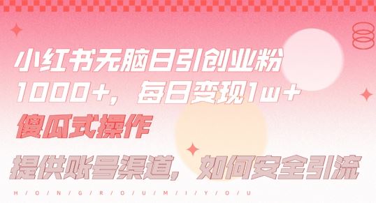 小红书无脑每日引流创业粉500+，小白每天只花半小时，躺赚长尾收益【揭秘】-钞能力网全创