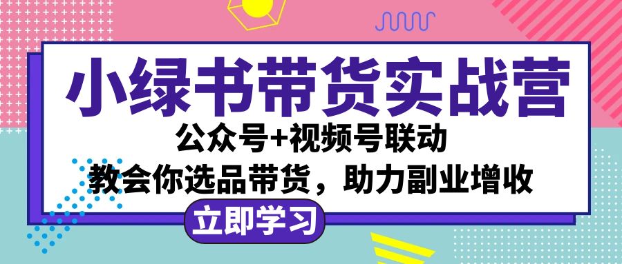 小绿书AI带货实战营：公众号+视频号联动，教会你选品带货，助力副业增收-钞能力网全创