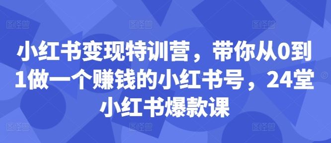 小红书变现特训营，带你从0到1做一个赚钱的小红书号，24堂小红书爆款课-钞能力网全创