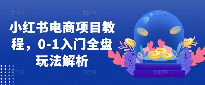 小红书电商项目教程，0-1入门全盘玩法解析-钞能力网全创