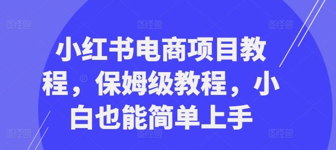 小红书电商项目教程，保姆级教程，小白也能简单上手-钞能力网全创