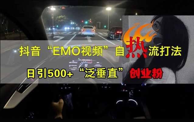 抖音EMO视频自热打法，日引500+“泛垂直”创业粉-钞能力网全创