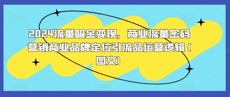 2024流量吸金变现，商业流量密码营销商业品牌定位引流品运营逻辑(图文)-钞能力网全创