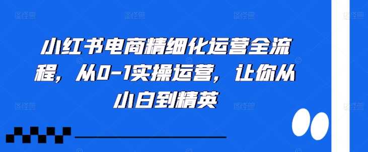 小红书电商精细化运营全流程，从0-1实操运营，让你从小白到精英-钞能力网全创