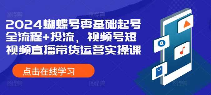 蝴蝶号零基础起号全流程+投流，视频号短视频直播带货运营实操课-钞能力网全创