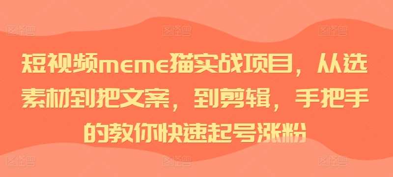 短视频meme猫实战项目，从选素材到把文案，到剪辑，手把手的教你快速起号涨粉-钞能力网全创