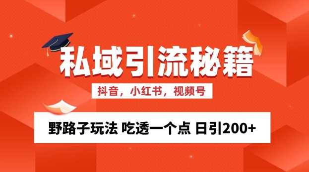 私域流量的精准化获客方法 野路子玩法 吃透一个点 日引200+ 【揭秘】-钞能力网全创