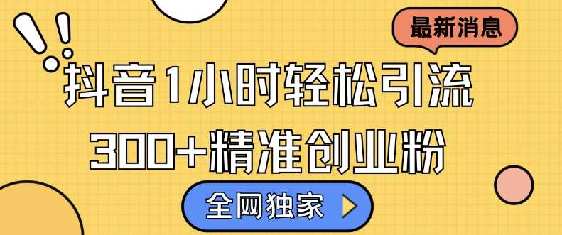 全网独家抖音引流，轻松日引300+精准创业粉【揭秘】-钞能力网全创