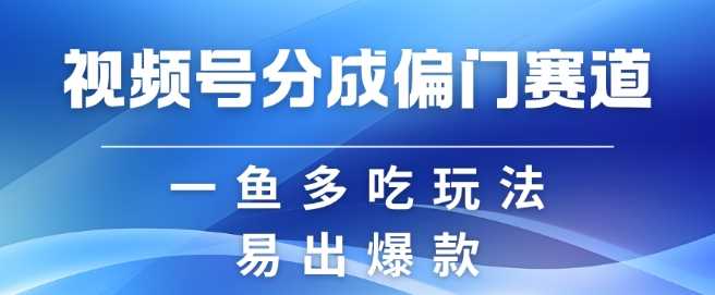 视频号创作者分成计划偏门类目，容易爆流，实拍内容简单易做【揭秘】-钞能力网全创