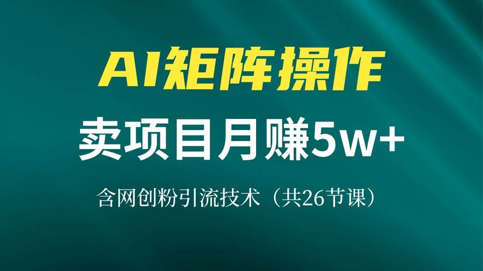 （13335期）网创IP打造课，借助AI卖项目月赚5万+，含引流技术（共26节课）-钞能力网全创