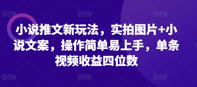 小说推文新玩法，实拍图片+小说文案，操作简单易上手，单条视频收益四位数-钞能力网全创