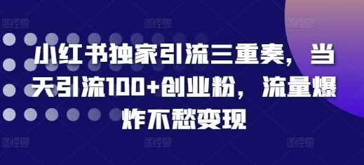 小红书独家引流三重奏，当天引流100+创业粉，流量爆炸不愁变现【揭秘】-钞能力网全创