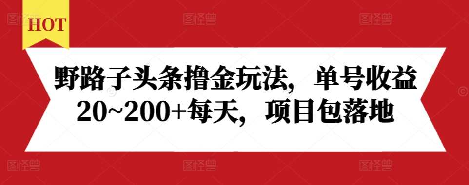 野路子头条撸金玩法，单号收益20~200+每天，项目包落地-钞能力网全创