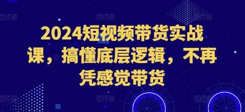 短视频带货实战课，搞懂底层逻辑，不再凭感觉带货-钞能力网全创