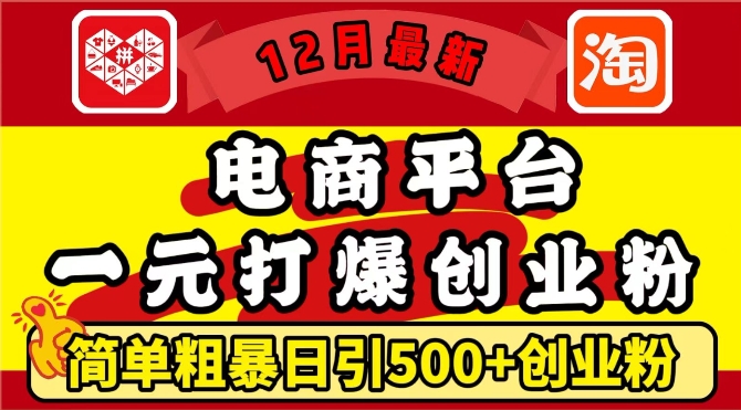 电商平台1元打爆创业粉，简单粗暴日引500+精准创业粉，轻松月入过W【揭秘】-钞能力网全创