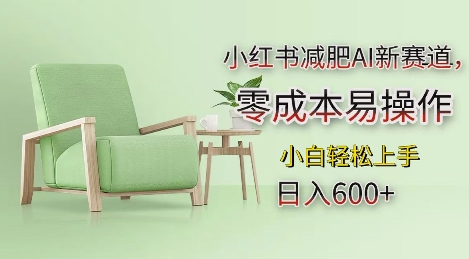 小红书减肥AI新赛道，零成本易操作，日入多张，小白轻松上手【揭秘】-钞能力网全创