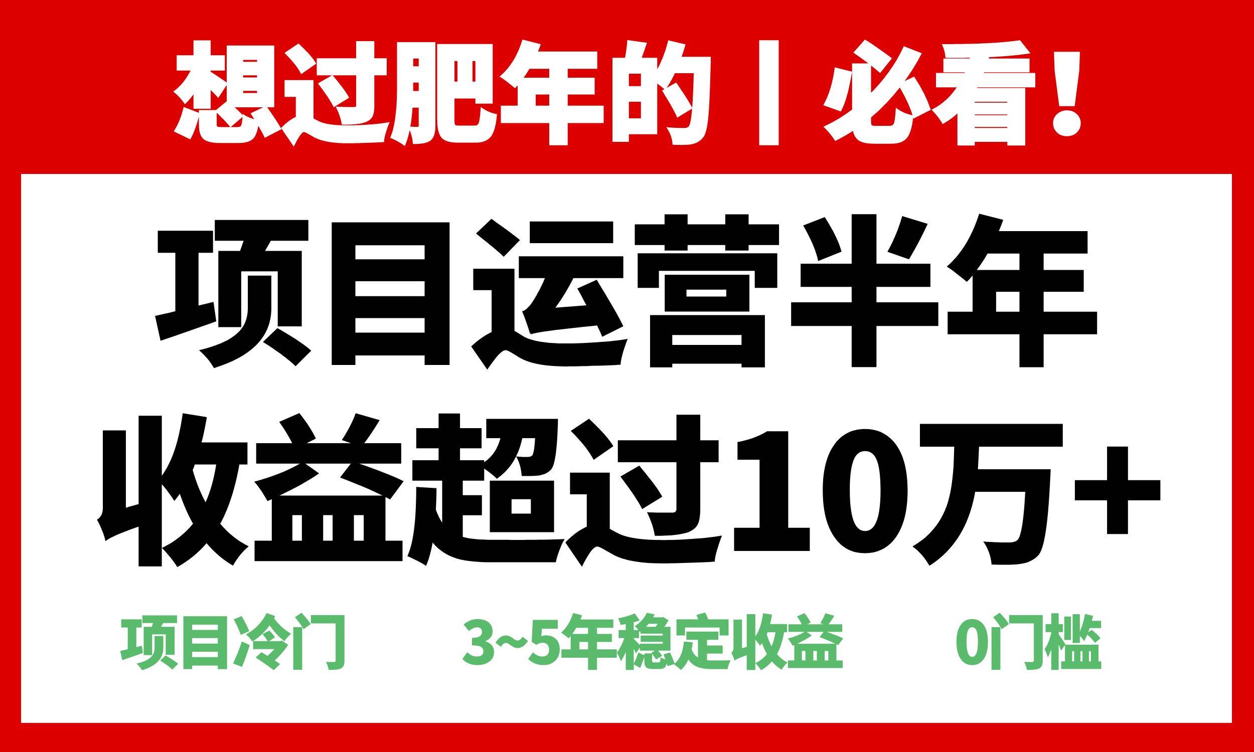 （13663期）年前过肥年的必看的超冷门项目，半年收益超过10万+，-钞能力网全创