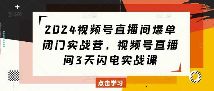 视频号直播间爆单闭门实战营，视频号直播间3天闪电实战课-钞能力网全创