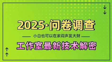 2025问卷调查最新工作室技术解密：一个人在家也可以闷声发大财，小白一天2张，可矩阵放大【揭秘】-钞能力网全创