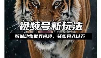 利用动物世界解说视频，赚分成计划收益，轻松月入过W，操作简单【揭秘】-钞能力网全创