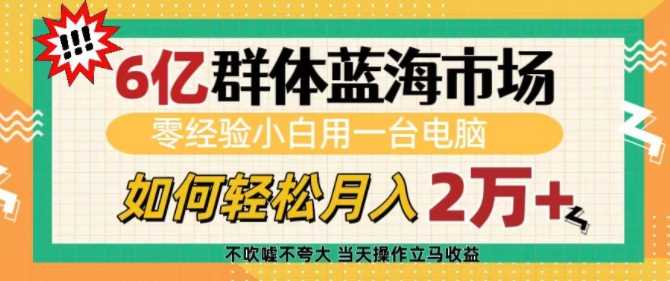 6亿群体蓝海市场，零经验小白用一台电脑，如何轻松月入过w【揭秘】-钞能力网全创