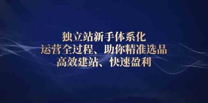 独立站新手体系化 运营全过程，助你精准选品、高效建站、快速盈利-钞能力网全创