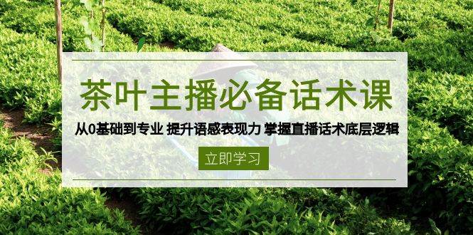 茶叶主播必备话术课 从0基础到专业 提升语感表现力 掌握直播话术底层逻辑-钞能力网全创