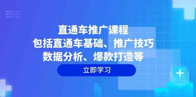 直通车推广课程：包括直通车基础、推广技巧、数据分析、爆款打造等-钞能力网全创