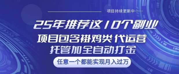 25年推荐这10个副业项目包含褂鸡类、代运营托管类、全自动打金类【揭秘】-钞能力网全创